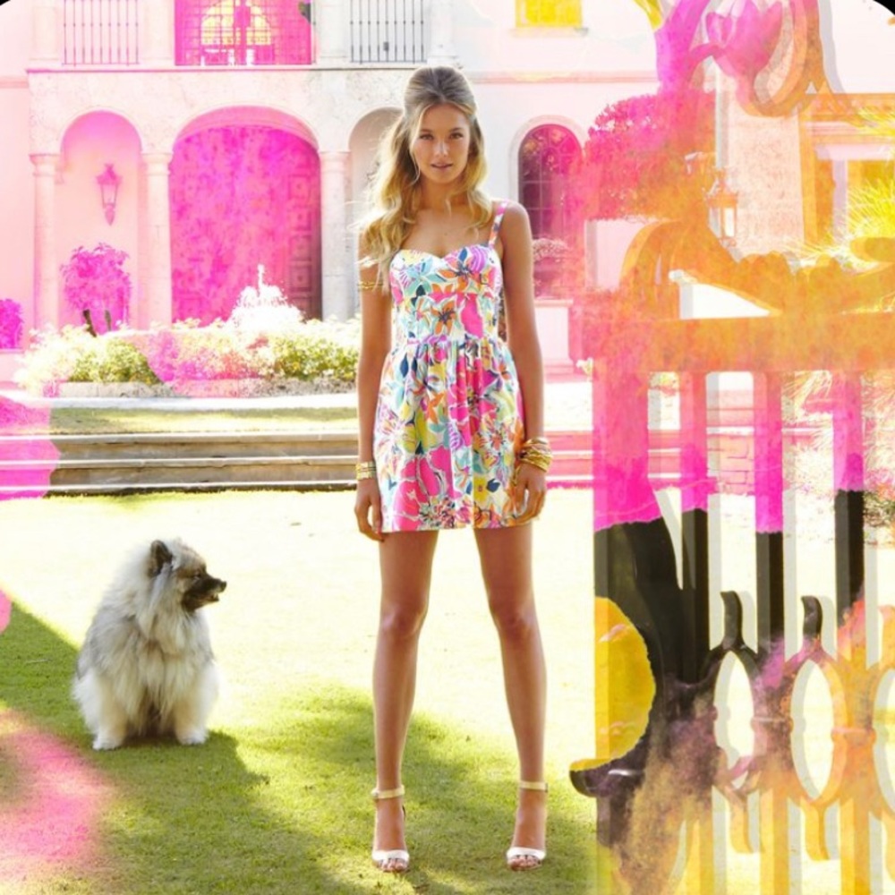 Lilly Pulitzer Christine Dress in Besame Mucho 00
